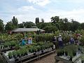 2014-0731_1200_Morden_Hall_Park_23C
